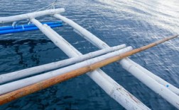 上海海洋水族馆元老级石斑鱼离世
