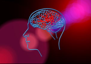 医生与开颅患者边聊天边捉大脑活虫，一场独特的医疗体验-图1