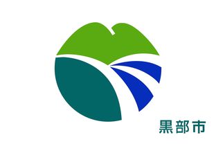 中央城市工作会议部署重点任务，引领城市发展新篇章-图3